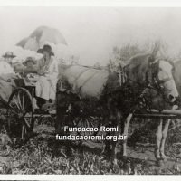 CEDOC Fundação Romi Rg61966