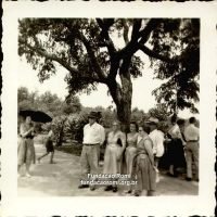 CEDOC Fundação Romi Rg81204